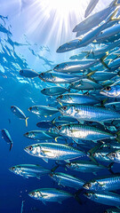 Obraz premium A vibrant school of mackerel swims through crystal blue ocean waters, illuminated by sunlight filtering from the surface. This serene, no people underwater scene evokes peace and wild unity.