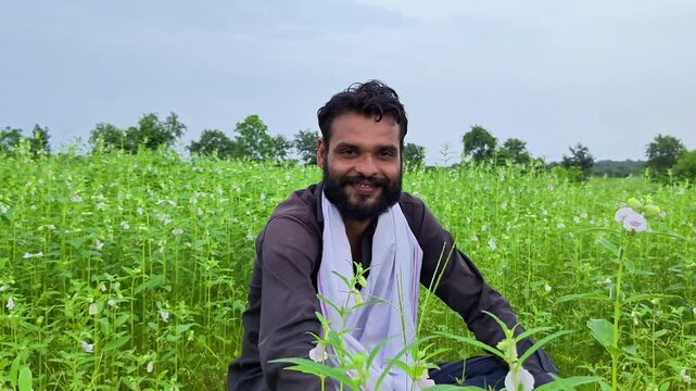 Happy indian farmer sitting and smiling in sesame crop field