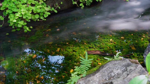Peaceful mini waterfall cascades over green mossy stones in a tranquil Japanese garden