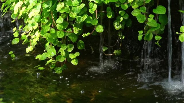 Peaceful mini waterfall cascades over green mossy stones in a tranquil Japanese garden