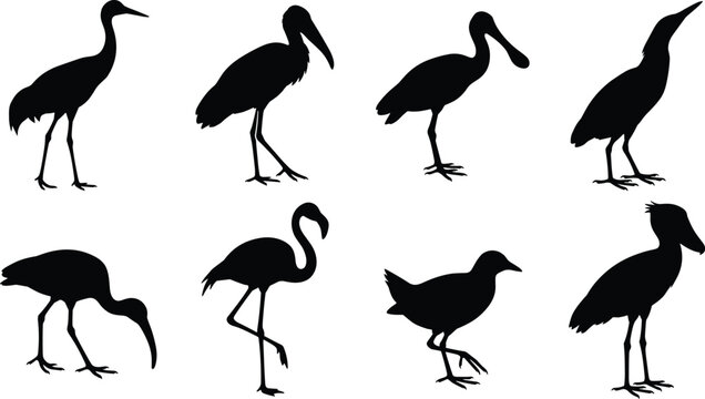 Set of wading bird black silhouette vector icons featuring stork, heron, and flamingo isolated on white background