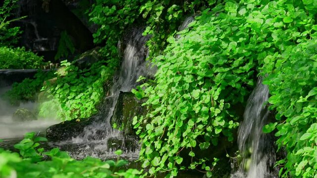 Peaceful mini waterfall cascades over green mossy stones in a tranquil Japanese garden