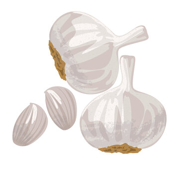 garlic and onion