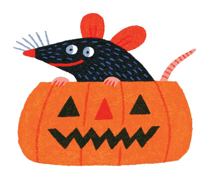 PNG Cute rat in pumpkin with Halloween theme.