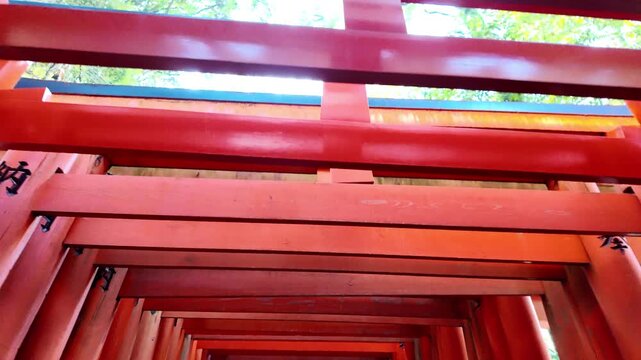 Fushimi Inari-taisha Gate(Fushimiinari-taisha) to heaven, Kyoto, Japan
