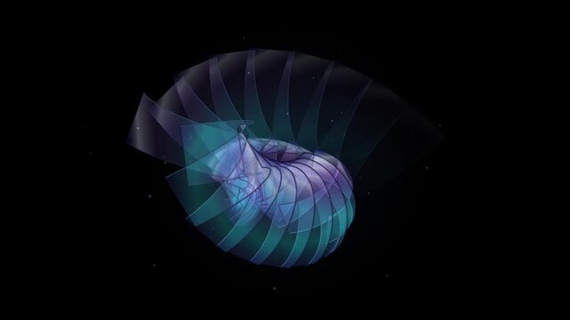 Colorful rotating spiral fan geometric abstract animation