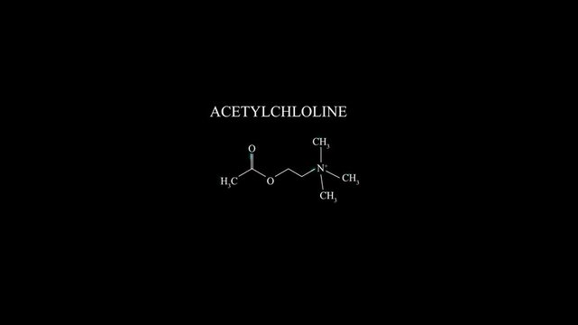 Acetylcholine Molecule Molecular Structure Animation, Neurotransmitter Chemical Formula Science Motion Graphic