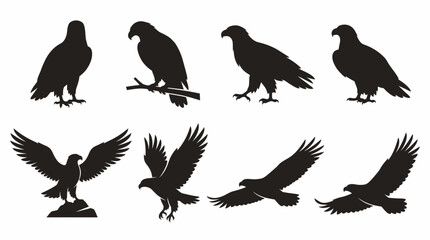 Fototapeta premium Eagle Silhouette Collection – 8 Different Poses