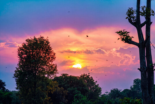 View of a vibrant sunset with colorful clouds in shades of purple, orange, and pink, with silhouettes of trees and birds flying in the sky, Pakistan.