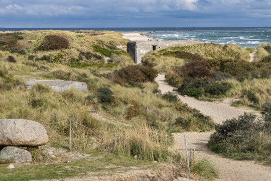 View of the historic World War II concrete bunker nestled among the sand dunes and coastal grasses at Grenen, Skagen, Jutland, Denmark.