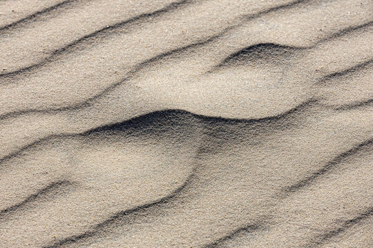 View of Rabjerg Mile sand dunes with intricate wind-swept patterns and fine textures in Skagen, Jutland, Denmark.