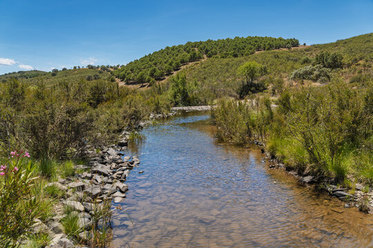 View of a stream flowing through the rural landscape of Vaqueiros with rolling hills, lush green trees, and shrubs under a clear blue sky in Vaqueiros, Santarem, Portugal.