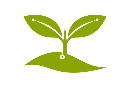 Digital green sprout leaf with node dot technology vector logo icon