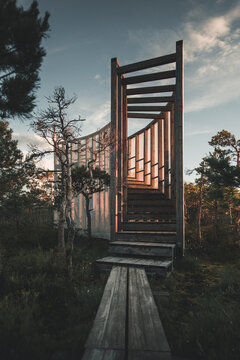 View of the Tuhu raba vaatetorn observation tower with a wooden boardwalk leading through the bog landscape surrounded by pine trees under golden hour light in Kiska, Parnu County, Estonia.