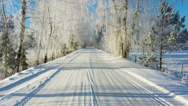 View of a snow-covered road lined with frost-covered birch trees under a clear blue sky in Latvia.