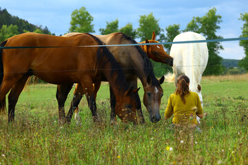 Woman observing a group of horses grazing in a rural green meadow © Gabriela