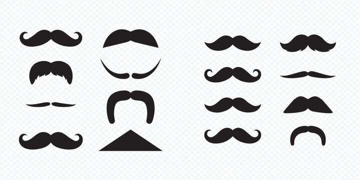 Collection of various mustache styles, including vintage, retro, and modern designs, perfect for costume parties or character illustrations.