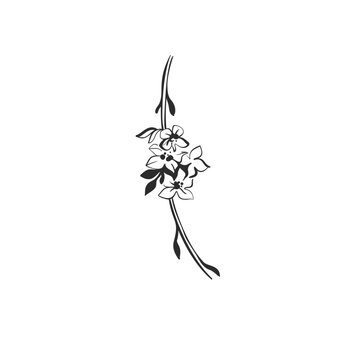 Hand Drawn Floral Ornament with Flowers and Leaves, Elegant Botanical Line Art Decorative Vector Element