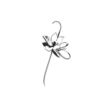 Elegant Single Flower with Long Curved Stem, Hand Drawn Botanical Line Art Minimal Floral Vector Illustration