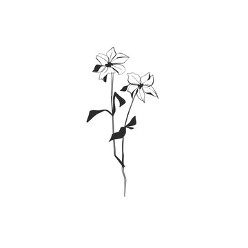 Hand Drawn Wild Flowers with Long Stems and Leaves, Minimal Botanical Floral Line Art Vector Illustration