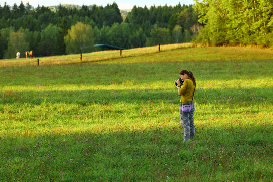 Woman photographer taking pictures in a sunlit meadow near horses
