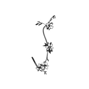 Elegant Floral Ornament with Flowers and Curved Stems, Hand Drawn Botanical Border, Decorative Black Line Art Vector for Wedding and Invitation Design