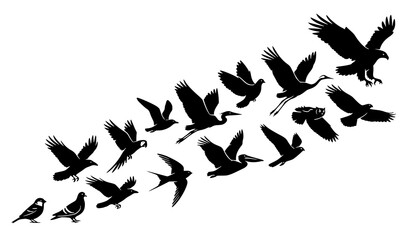 Fototapeta premium Title: Flying Birds Silhouette Vector Collection with Dynamic Wing Poses