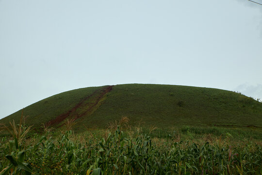 View of the Kerang volcanic cone covered in lush green grass with a patch of exposed red soil, rising above a cornfield in Kerang, Plateau, Nigeria.