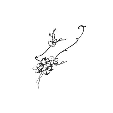 Elegant Floral Flourish with Flowers and Curved Swirls, Hand Drawn Botanical Ornament Black Line Art Vector for Wedding Invitation and Decorative Design