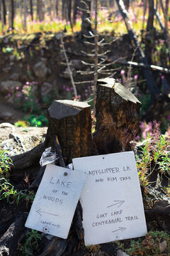 Handwritten trail directions beside burned tree stumps