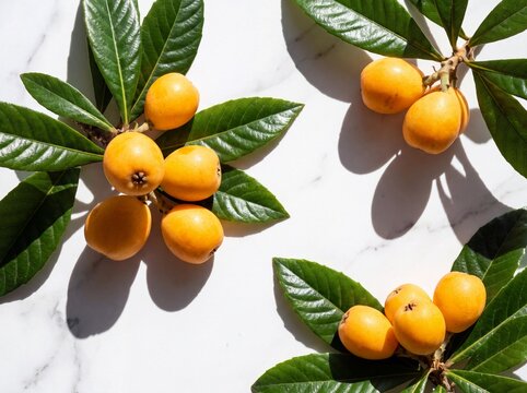 Loquats with glossy leaves on white marble under sharp sunlight