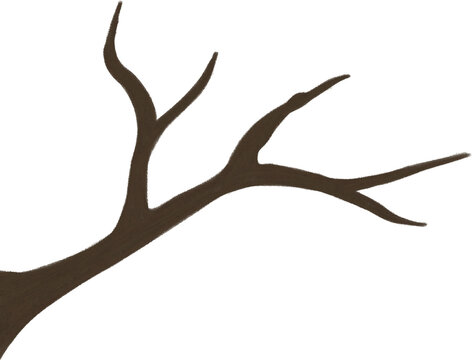 Hand drawn bare tree branch illustration, dark brown twig in late autumn, isolated