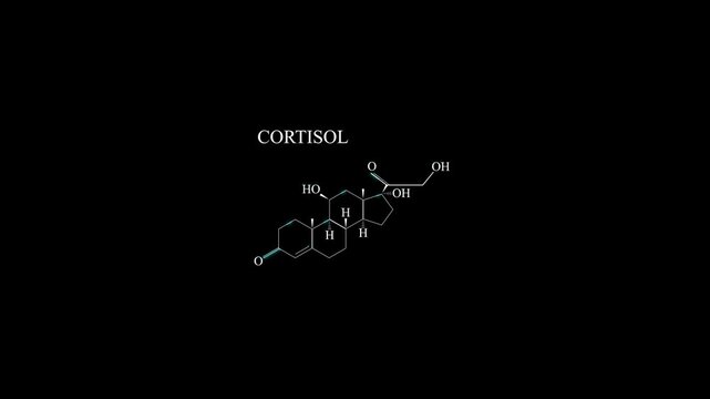 Cortisol Molecule Molecular Structure Animation, Stress Hormone Chemical Formula and Biochemistry Motion Graphic
