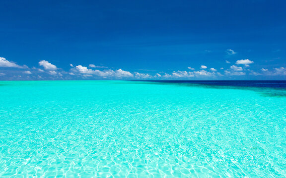 beach and tropical sea . nature background