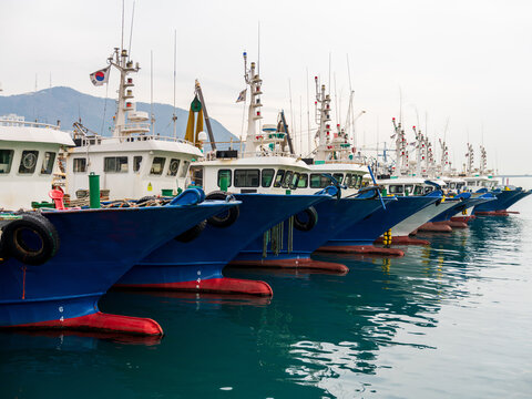 View of a row of blue and white fishing boats moored in the harbor with calm water and mountains in the background in Busan, Busan, South Korea.