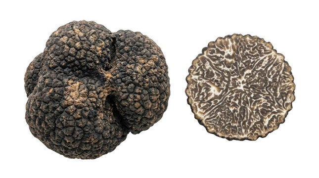 Black Truffle Photo Set Isolated on Black Background Gourmet Food Concept