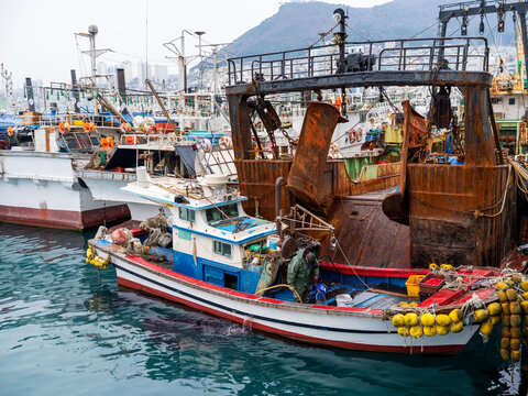 View of a fisherman working on a small boat docked at a busy fishing port with rusty trawlers and calm water in Busan, Busan, South Korea.