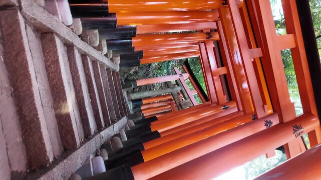 Fushimi Inari-taisha Gate(Fushimiinari-taisha) to heaven, Kyoto, Japan