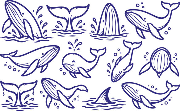Whale Cartoon Illustration Collection with Ocean and Marine Animals