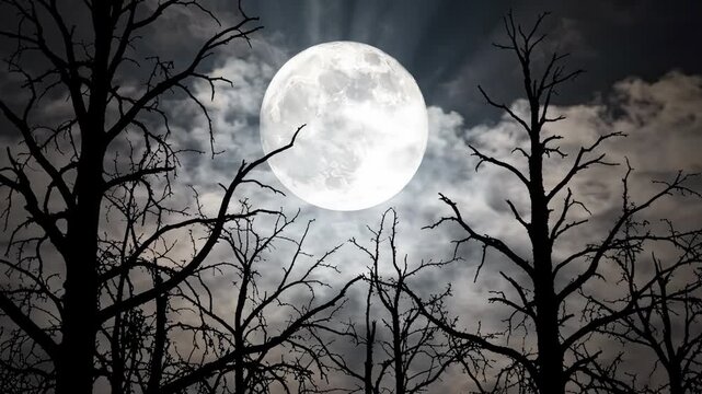 Twisted Branch Silhouette Framing Gigantic Moon and Wispy Clouds