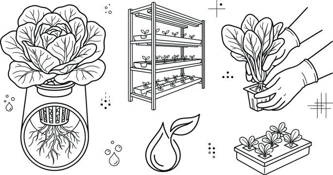 Hydroponic Vertical Farming System with Indoor Lettuce Growing and Planting Vector Elements Set