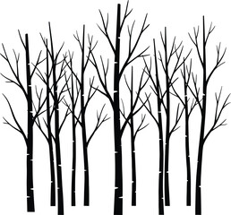 Bare Birch Tree Forest Silhouette Winter Woods Nature Illustration Design © Prasanta