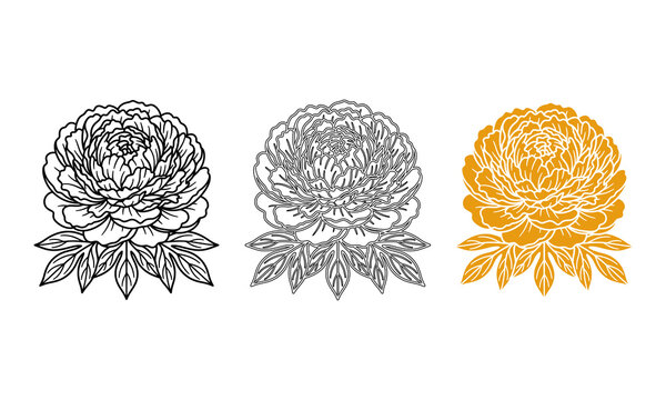 Set of peony flower vector illustrations featuring outline and solid gold floral designs for luxurious art decor