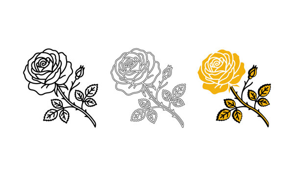 Elegant rose flower illustrations featuring black line art, dashed outline, and solid gold vector design set
