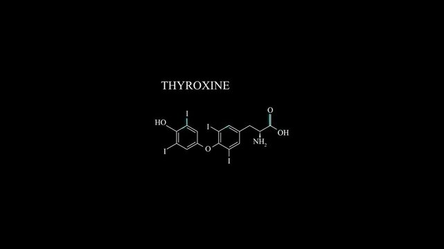 Thyroxine T4 Molecule Molecular Structure Animation, Thyroid Hormone Chemical Formula and Biochemistry Motion Graphic