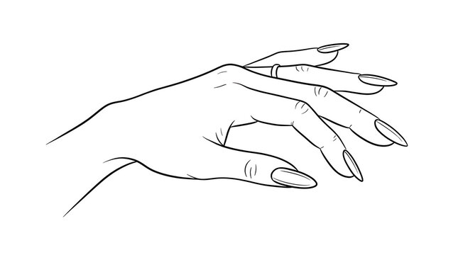 Elegant female hand with long manicure nail sketch