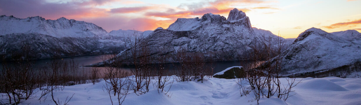 Dramatic winter panorama of Ornfjorden and Fjordgard at dawn, Senja, Norway