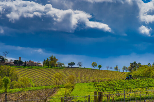 FRANCE, GIRONDE 33 ENTRE-DEUX-MERS REGION. VINEYARD IN SPRING NEAR THE VILLAGE OF OMET UNDER A STORMY SKY