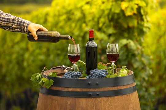 FRANCE, GIRONDE 33, SAINT-EMILION, POURING RED WINE INTO THE GLASS, BARREL OUTDOOR IN BORDEAUX VINEYARD
