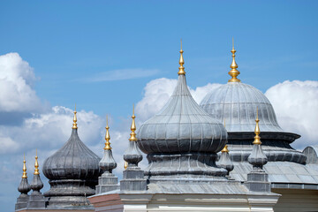 Details domes Istanbul City of Turkey © aydinsert